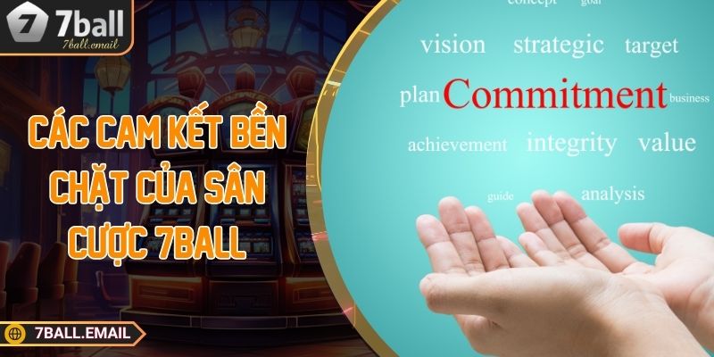 Các cam kết bền chặt của sân cược 7Ball